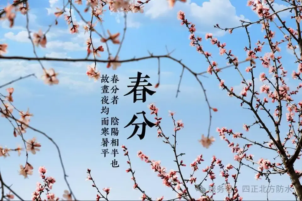 17441702414938590Ulw.png 6405.webp.png