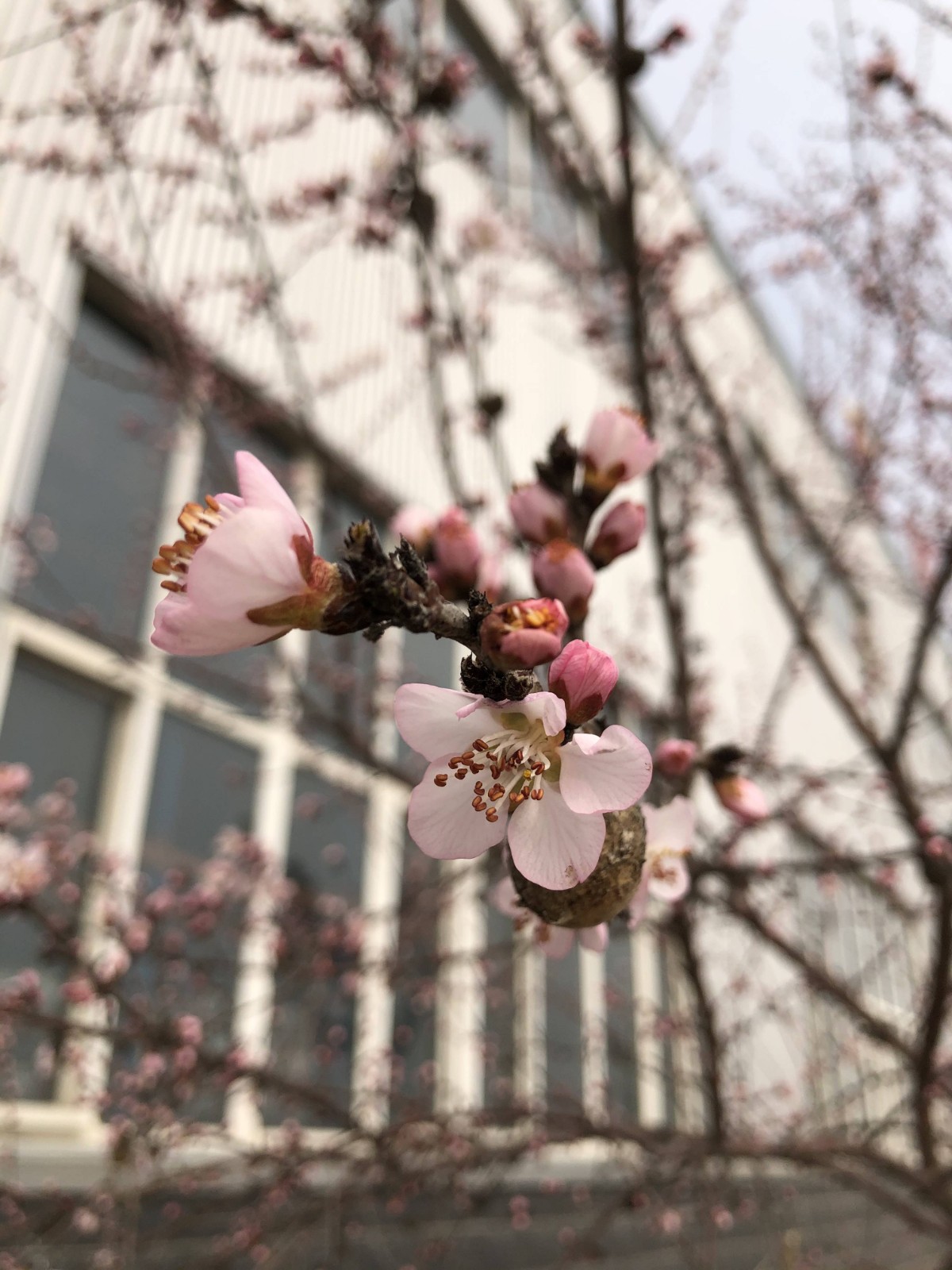 1614903728780259KBqK.jpg 1614903728780259KBqK.jpg